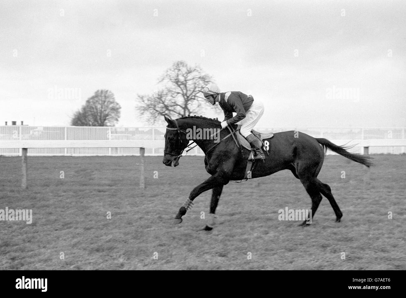 Corse di cavalli - Vacanze Romane Foto Stock