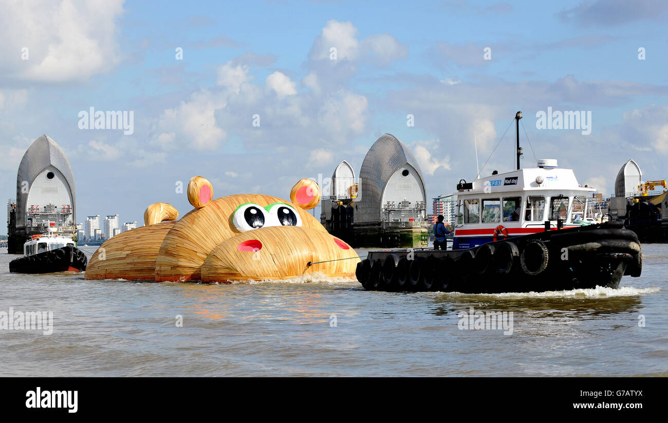 L'artista olandese Florentijn Hofman, la prima commissione britannica di sempre, "HippopoThames", è trainato lungo il Tamigi attraverso le difese delle alluvioni della barriera del Tamigi, dal suo sito di costruzione a Royal Docks alla sua posizione finale a Nine Elms sulla South Bank. Foto Stock