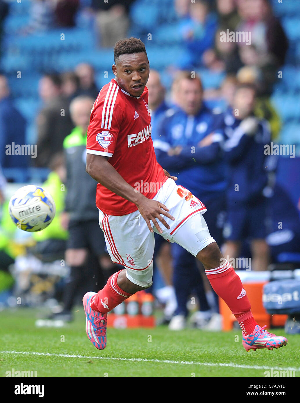 Calcio - Sky Bet Championship - Sheffield Wednesday v Nottingham Forest - Hillsborough. Britt Assombalonga, Nottingham Forest Foto Stock