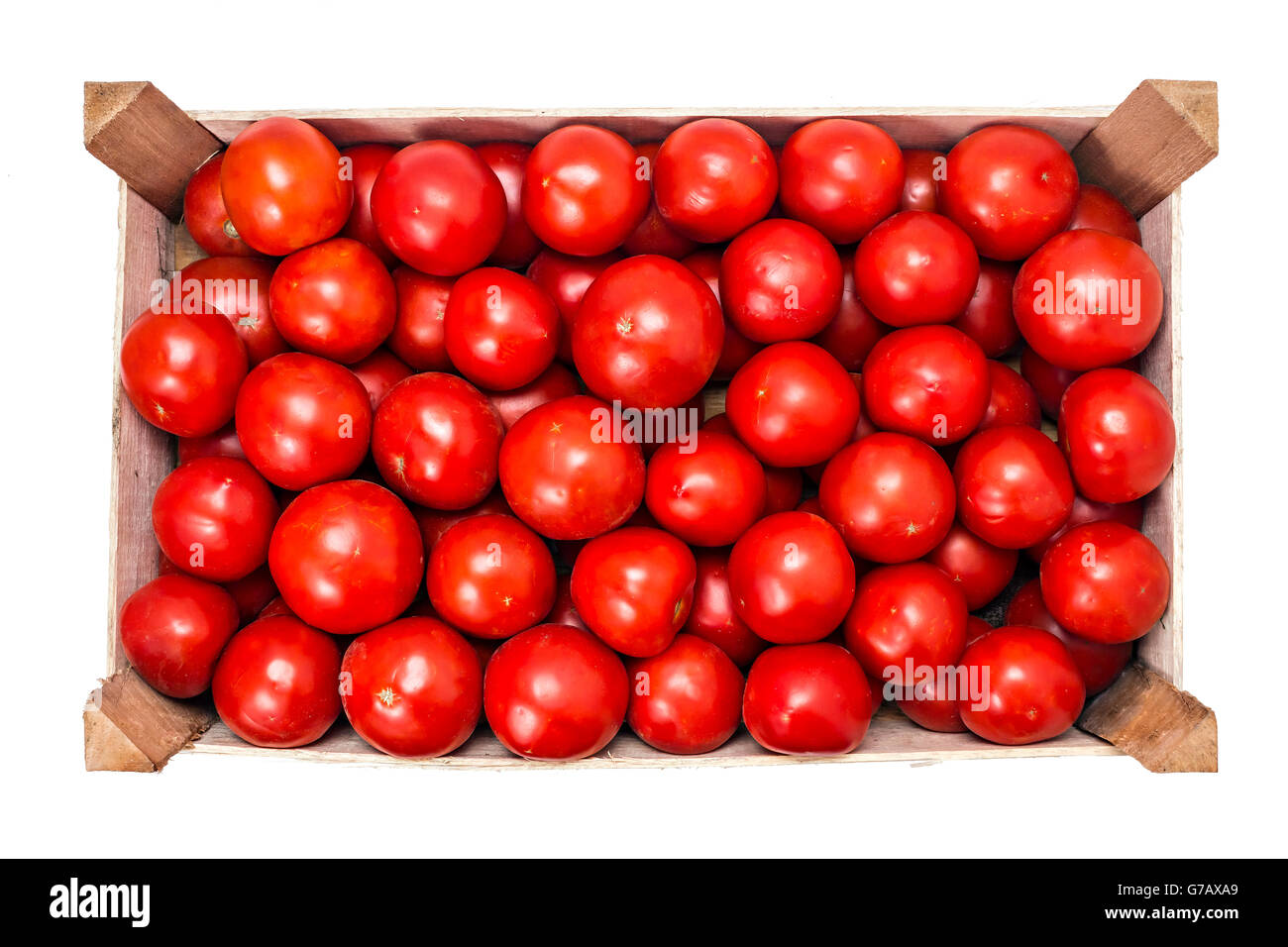 Cassa di pomodoro con fresche e mature pomodori organici, isolato su bianco Foto Stock