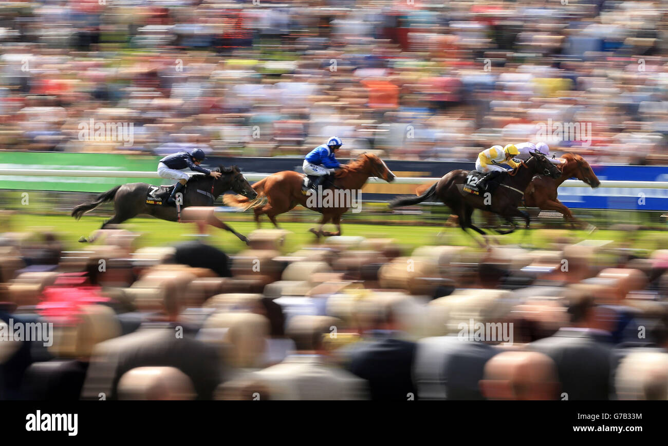 Horse Racing - 2014 Benvenuti a Yorkshire Ebor Festival - Juddmonte Interntional giorno - York Racecourse Foto Stock