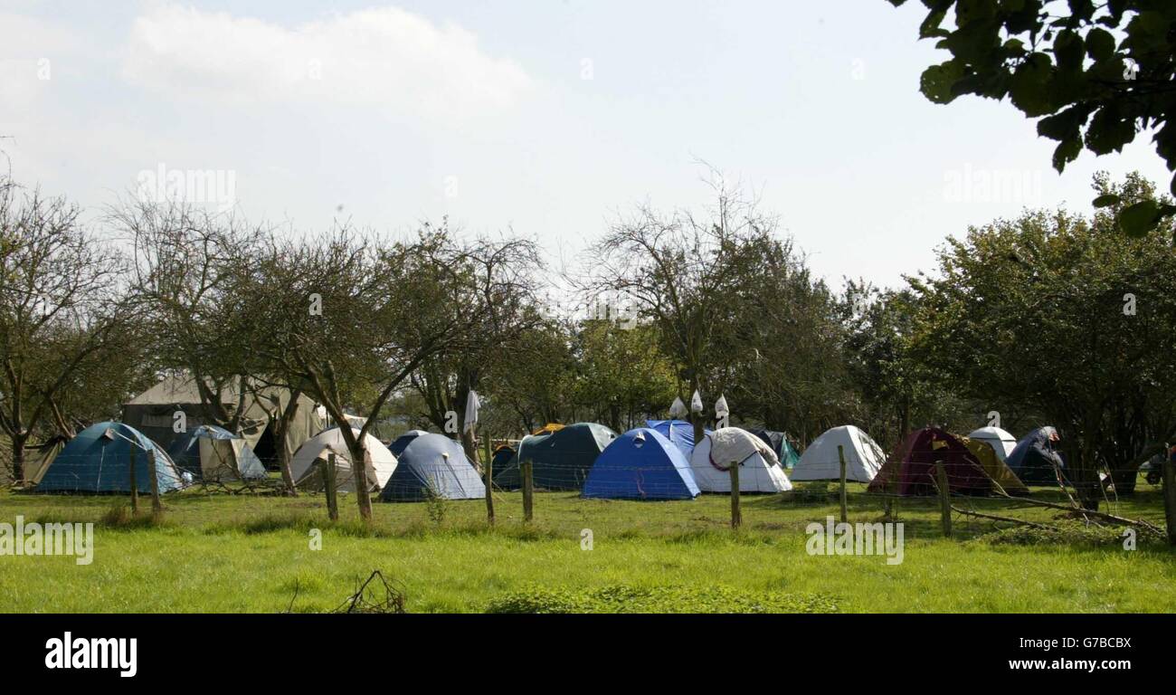 I manifestanti sui diritti degli animali hanno istituito un campo in un campo a Peckham Kent orientale, per una conferenza sui diritti degli animali prevista nel fine settimana. Foto Stock