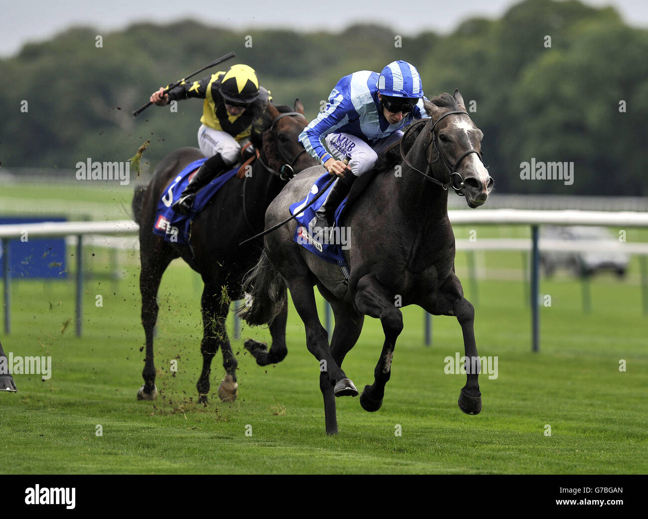 Il kickboxer guidato da Luke Morris vince il Betfred Mobile Be friendly handicap durante il Betfred Sprint Cup Festival presso l'ippodromo di Haydock Park, Newton-le-Willows. Foto Stock