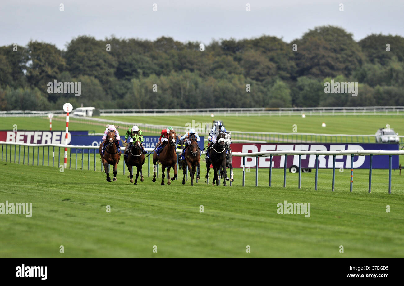 I corridori e i corridori nel betfred.com Superior Mile guidato dal Capitano Cat guidato da George Baker si fanno strada sulla strada giusta durante il Betfred Sprint Cup Festival all'ippodromo di Haydock Park, Newton-le-Willows. Foto Stock