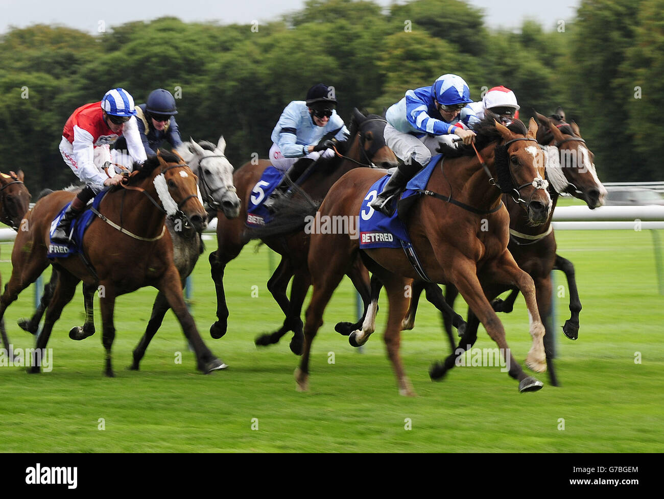 Horse Racing - Betfred Sprint Cup Festival - Giorno 3 - Ippodromo di Haydock Park Foto Stock