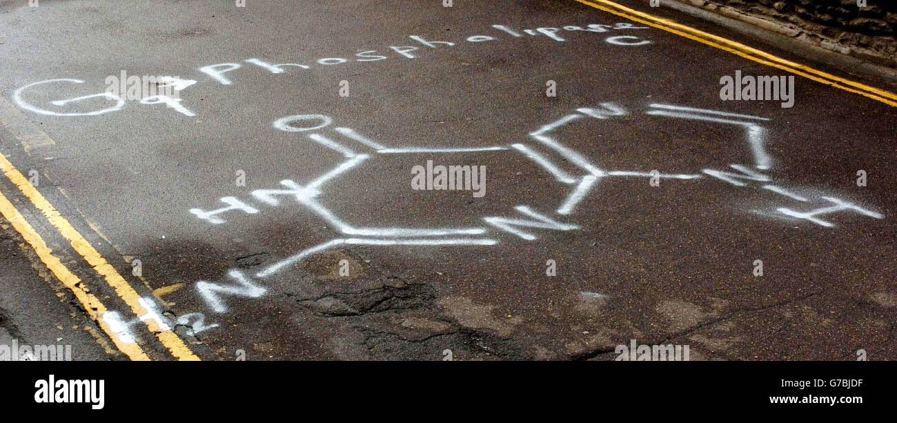 Graffiti di DNA Foto Stock