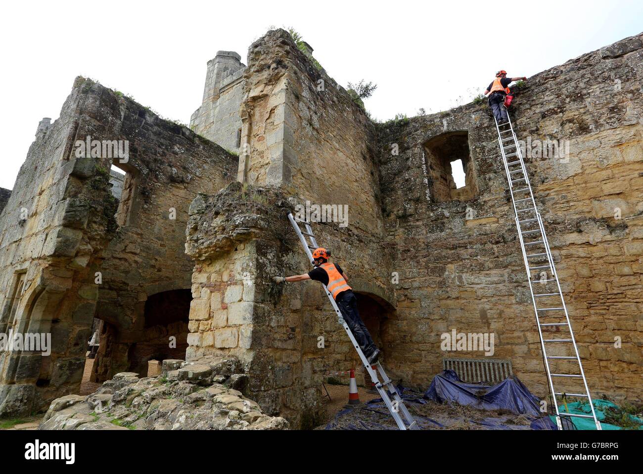 I tecnici di accesso alle corde prelevano le erbacce a mano dalle pareti del castello di Bodiam nel Sussex orientale per contribuire a mantenere la pietra arenaria medievale come parte del lavoro di conservazione in corso. Foto Stock