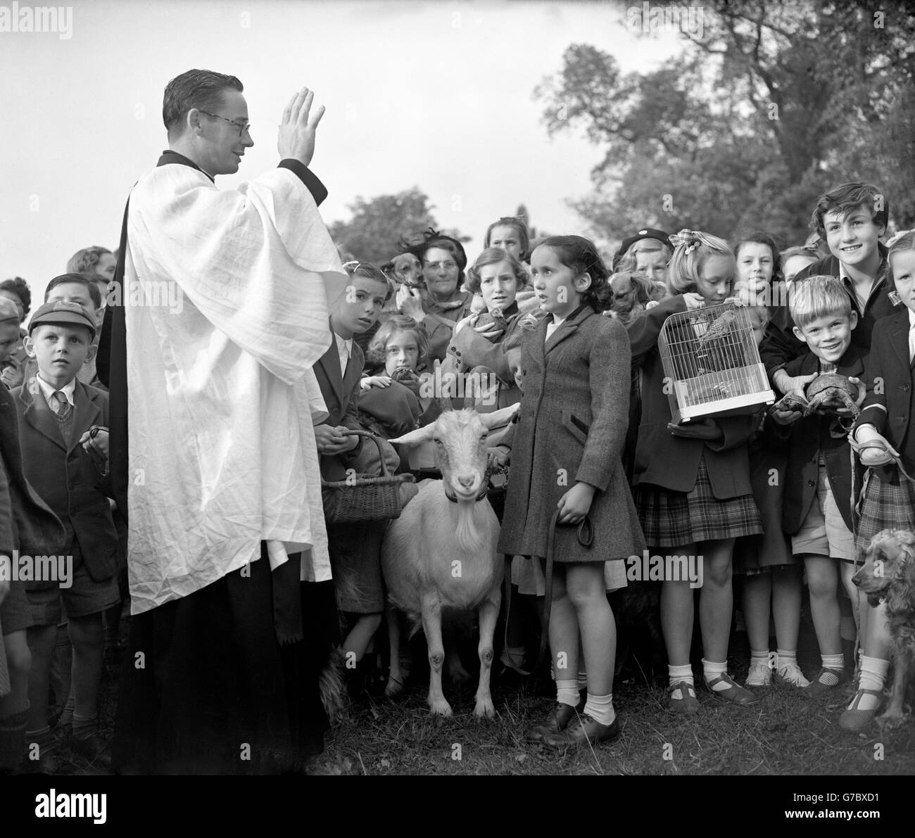 I bambini e i loro animali si riuniscono intorno al vicario don Idwal Jones mentre gli animali sono benedetti ad un servizio all'aperto tenuto dalla Chiesa di Santa Maria Vergine a Cuddington, Worcester Park. Il servizio si è svolto per celebrare l'anniversario di San Francesco d'Assisi, patrono degli animali, e gli animali domestici portati con sé includevano cani, uccelli, tartarughe, polli, capre e pesci rossi. Foto Stock