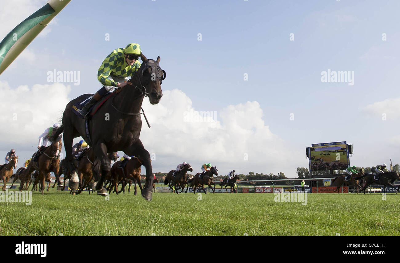 Louis the Pious guidato da James Doyle (verde) vince la William Hill Ayr Gold Cup durante il terzo giorno del William Hill Ayr Gold Cup Festival 2014 all'Ayr Racecourse di Ayr. Foto Stock