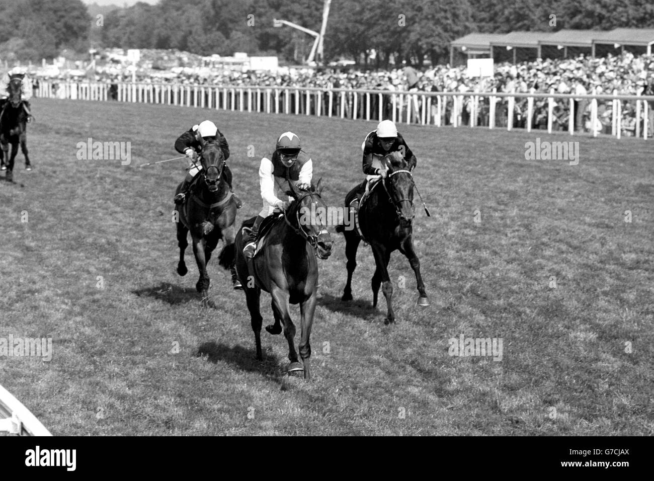 Sonic Lady, con Walter Swinburn in sella, vincendo i Coronation Stakes a Royal Ascot, davanti a Embla (a destra, Pat Eddery in su) e a qualcuno di speciale (a sinistra), guidato da Thomas Quinn. Foto Stock