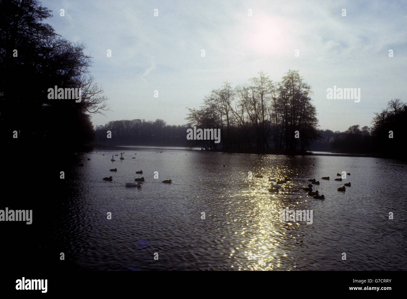 Un lago in terreni di Wollaton Hall situato a Wollaton Park, Nottingham, Inghilterra. La sala fu costruita tra il 1580 e il 1588 per Sir Francis Willoughby e si ritiene sia stata progettata dall'architetto elisabettiano Robert Smithson. Nel 2011, le scene chiave del film di Batman The Dark Knight Riges sono state girate fuori dalla Wollaton Hall. Foto Stock