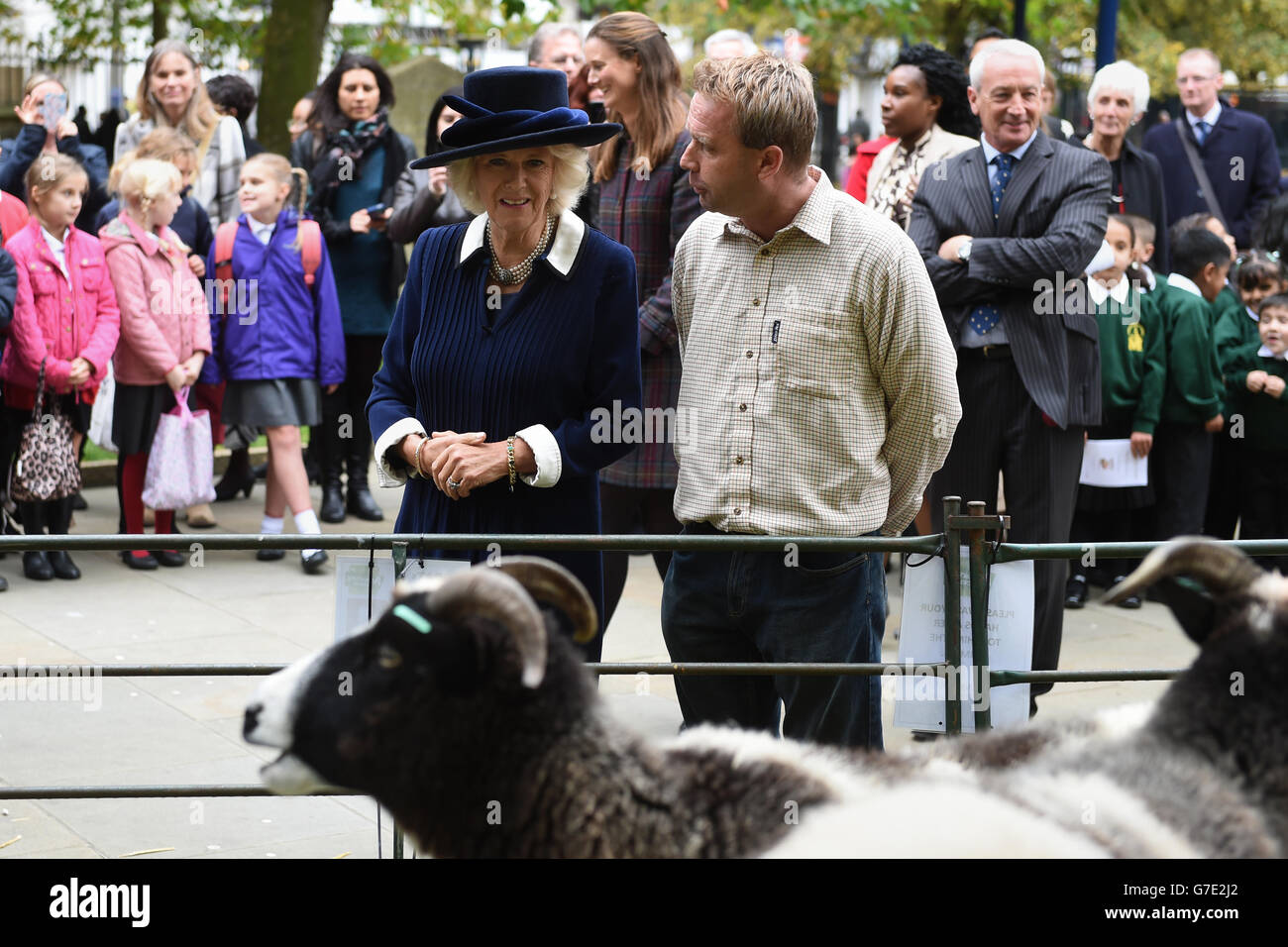 La duchessa di Cornovaglia parla con Richard Craddock (a destra) da Hatton Country World mentre si guarda una selezione di capre e pecore dopo aver frequentato la quindicina di British Food 'National Harvest Service' presso la Cattedrale di St Philip, Birmingham. Foto Stock