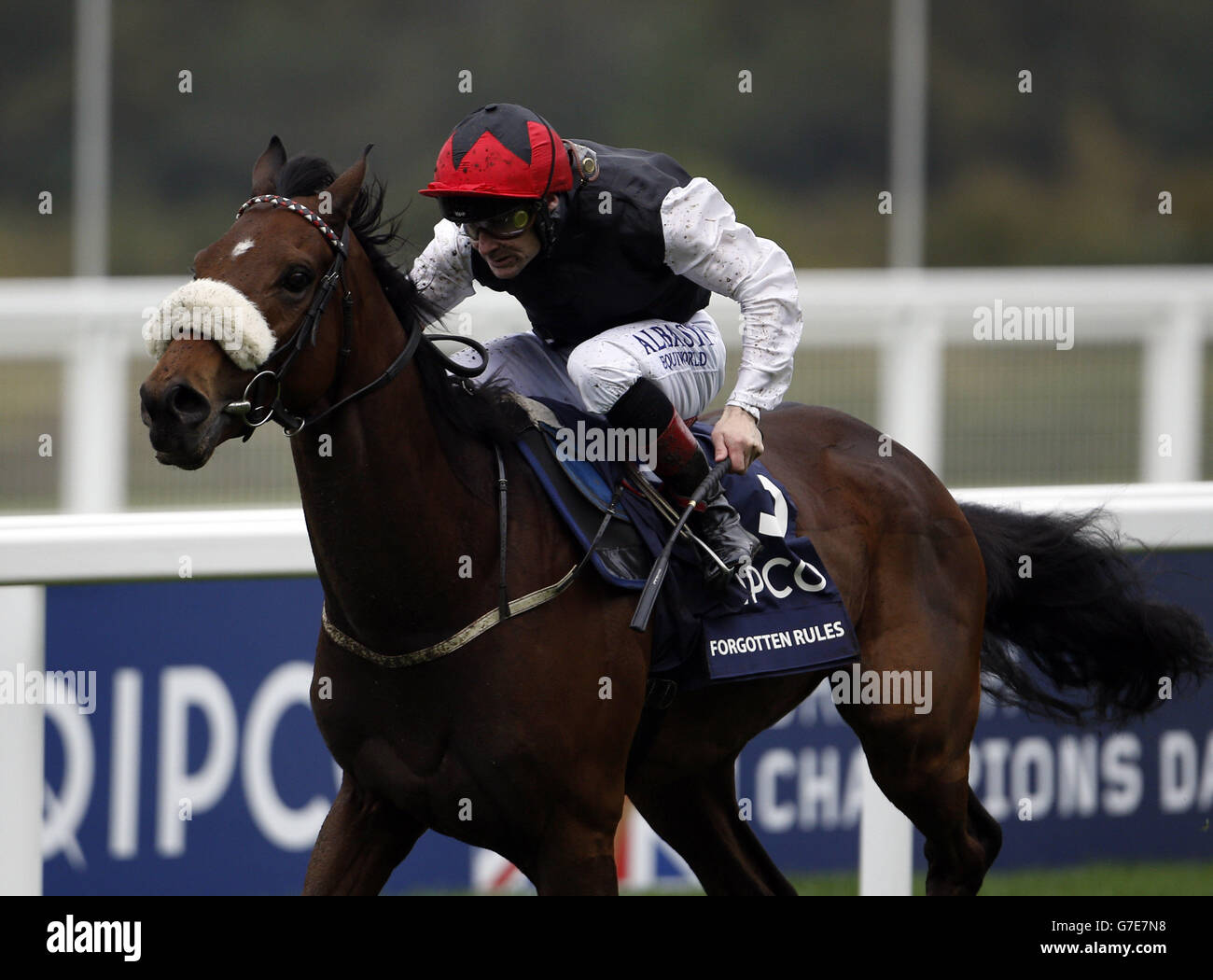 Forgotten Rules ridden by Pat Smullen batte Pallasator guidato da Andrea Atzeni per vincere la QIPCO British Champions Long Distance Cup all'ippodromo di Ascot. Foto Stock