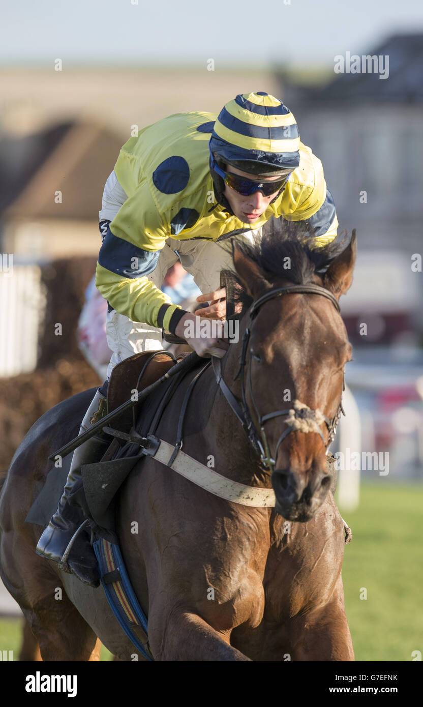 Waltz Darling ha eliminato la recinzione finale durante il Border Safeguard' Limited handicap Chase di Novices per la prima volta all'ippodromo di Musselburgh, East Lothian. Foto Stock