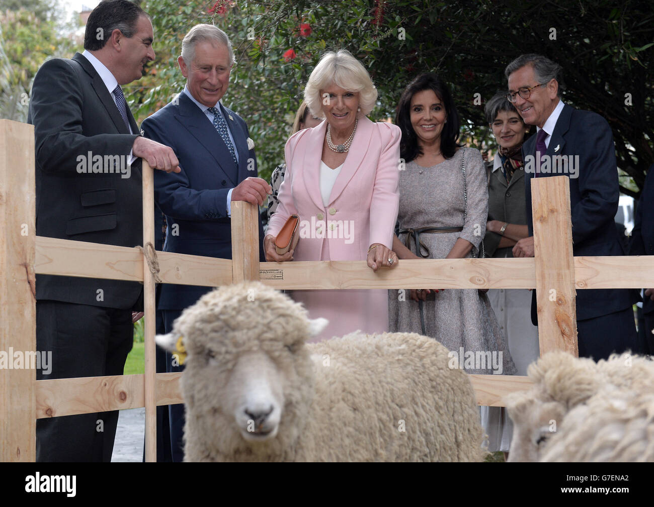 Il Principe di Galles e la Duchessa di Cornovaglia hanno visto le pecore mentre visitano una Fiera di Sostenibilità organica e urbana presso la residenza dell'Ambasciatore britannico a Bogotà, Colombia, il secondo giorno del loro tour in Colombia e Messico. Foto Stock