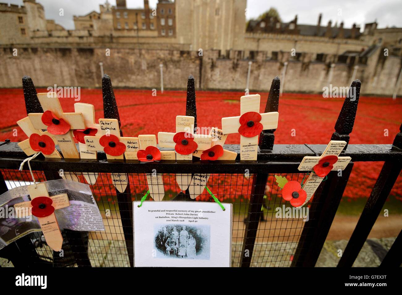 Le croci sono lasciate sulle ringhiere sopra i papaveri nel fossato della Torre di Londra, mentre i lavori iniziarono a smantellare l'installazione "Terre spazzate dal sangue e mari di rosso", che catturò l'immaginazione della Gran Bretagna mentre commemorava il centenario della prima guerra mondiale. Foto Stock