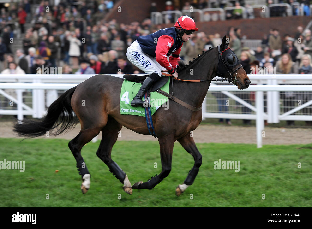 Corse di cavalli - gli Open - giorno tre - Ippodromo di Cheltenham. Volo romano indovinato da Brian Hughes che andrà a postare per la barriera Greatwood del StanJames.com Foto Stock