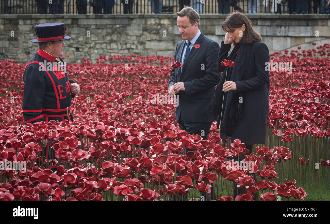 Il primo ministro David Cameron e sua moglie Samantha alla Torre di Londra, dove ciascuno posò un papavero all'installazione artistica "Blood Swept Lands and Seas of Red" dell'artista Paul Cummins, che segna il centenario della prima guerra mondiale. Foto Stock