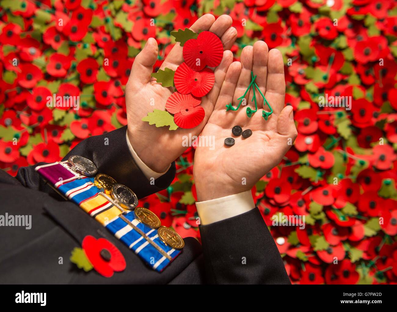 Shane Crowhurst, veterano dell'esercito, raccoglie un papavero di carta al Royal British Legion Poppy Appeal di Aylesford, Kent, che è una delle migliaia di papaveri di carta che quest'anno verranno riciclati attraverso Sainsbury dopo l'Armiscizio Day. Foto Stock