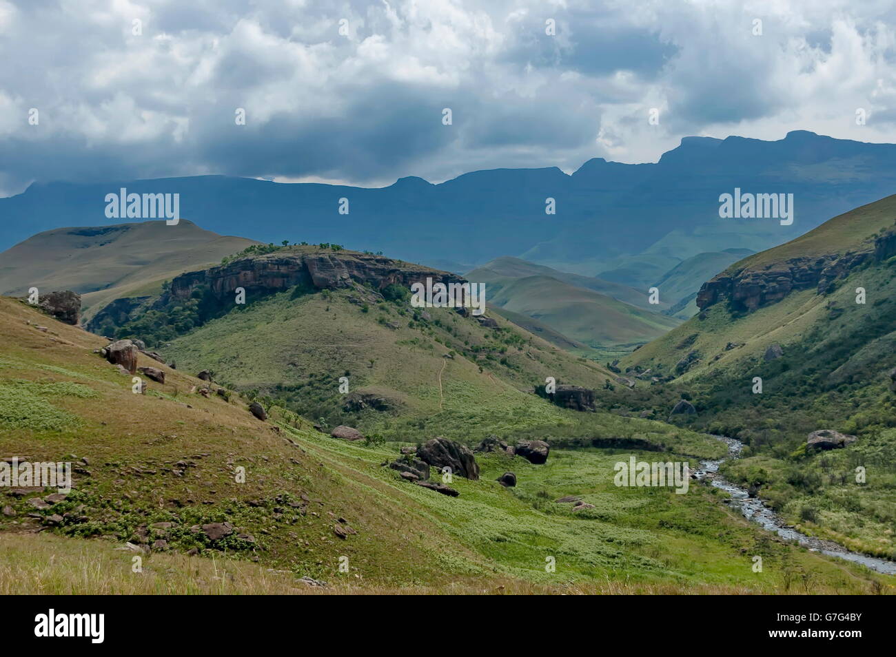 Il Bushmans River Valley nel Castello dei Giganti KwaZulu-Natal riserva naturale, Drakensberg Sud Africa Foto Stock