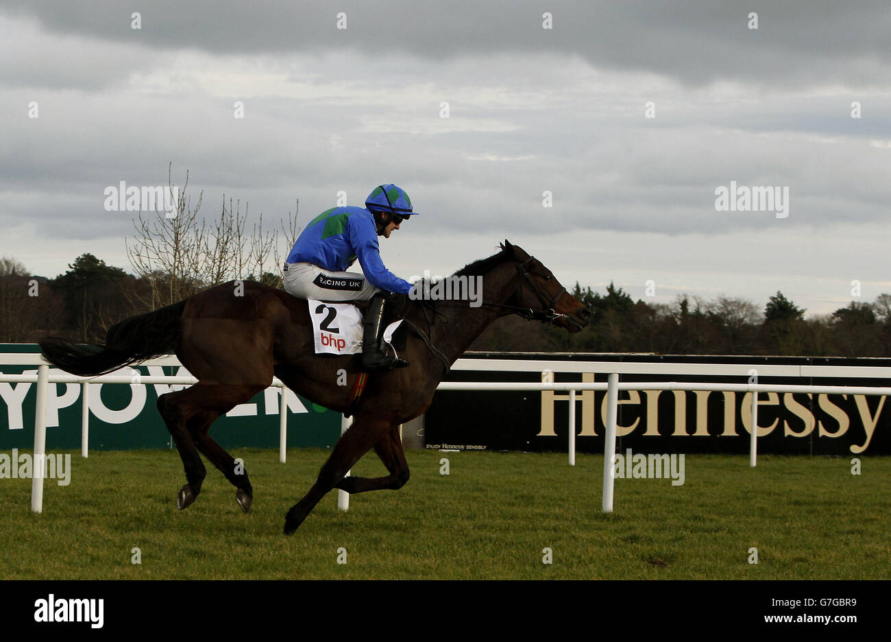 Hurricane Fly indovinato da Ruby Walsh corse chiaro di ultimo sulla strada per vincere il BHP Insurances campione irlandese ostacolo in BHP Insurance Champion Hobble Day al Leopardstown Racecourse, Dublino. PREMERE ASOCIATION Photo (FOTO ASSOCIAZIONE). Data foto: Domenica 25 gennaio 2015. Vedi la storia della Pennsylvania RACING di Leopardstown. Il credito fotografico dovrebbe essere: Brian Lawless/filo PA Foto Stock