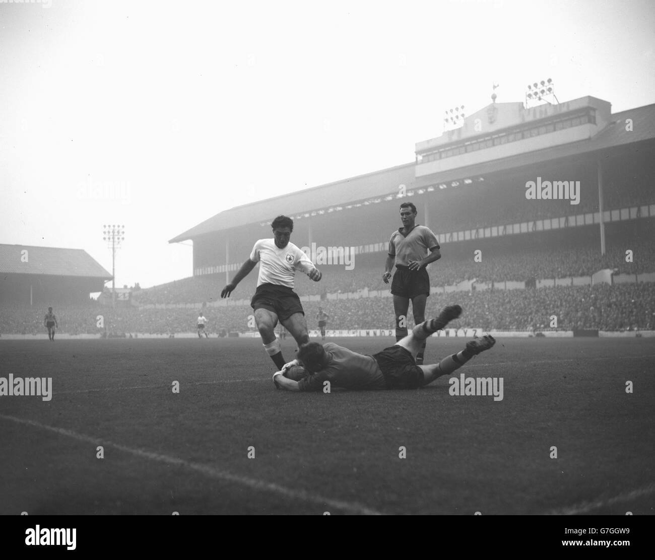 Soccer League Division One - Tottenham Hotspur v Wolverhampton Wanderers - White Hart Lane Foto Stock