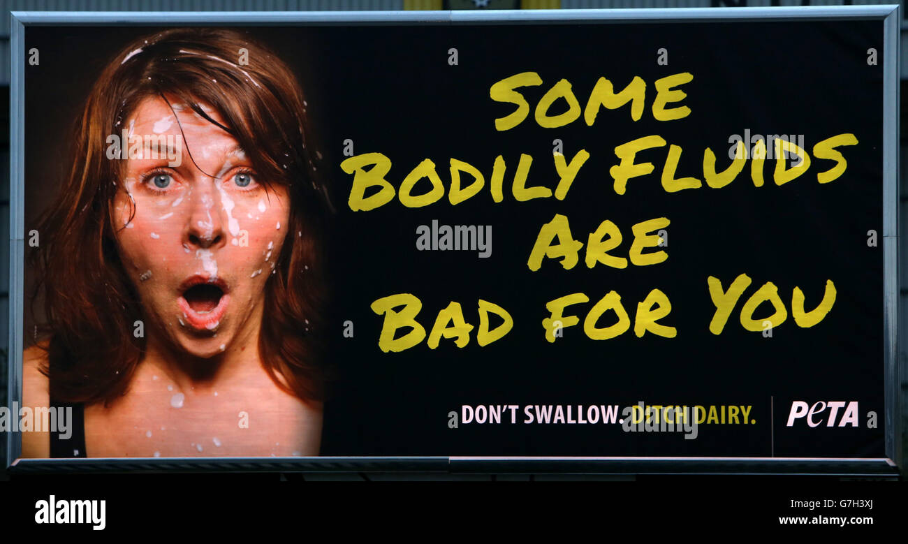 Una vista generale di un cartello pubblicitario PETA fuori dal campo da calcio di Meadow Lane, Nottingham. Foto Stock