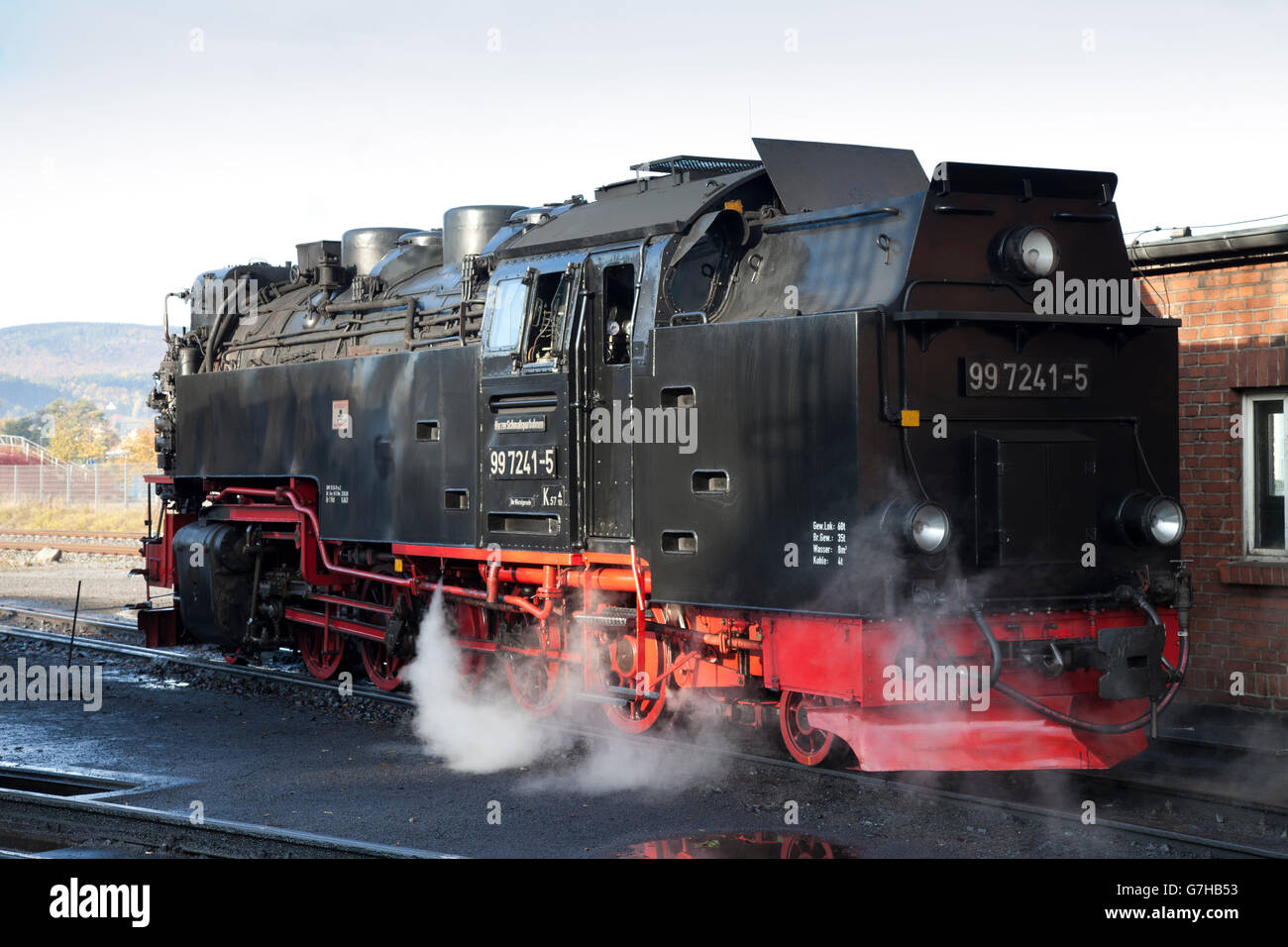 Treno a vapore alla stazione, Harz a scartamento ridotto delle ferrovie, HSB, Wernigerode, montagne Harz, Sassonia-Anhalt Foto Stock
