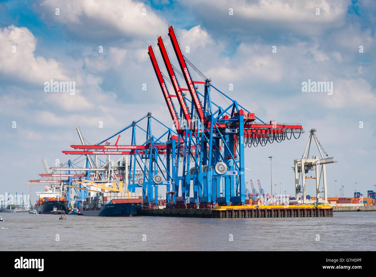 Vista del terminal container di Burchardkai porto di Amburgo sul fiume Elba in Germania Foto Stock