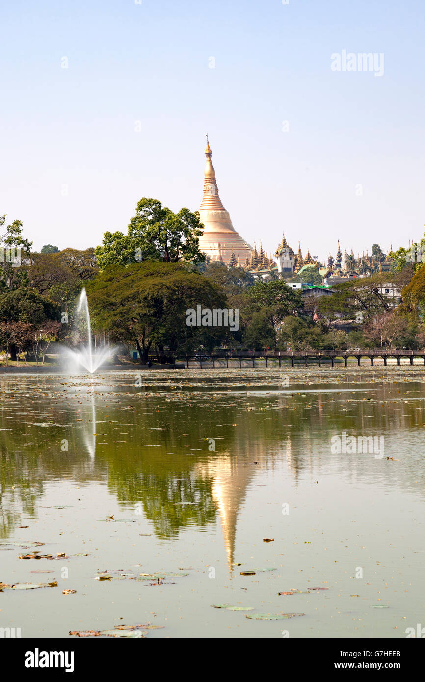 In Yangon, stupa centrale della Shwedagon Paya riflettendo sulla calma e lucida le acque del lago Kandawgyi (Myanmar). Foto Stock