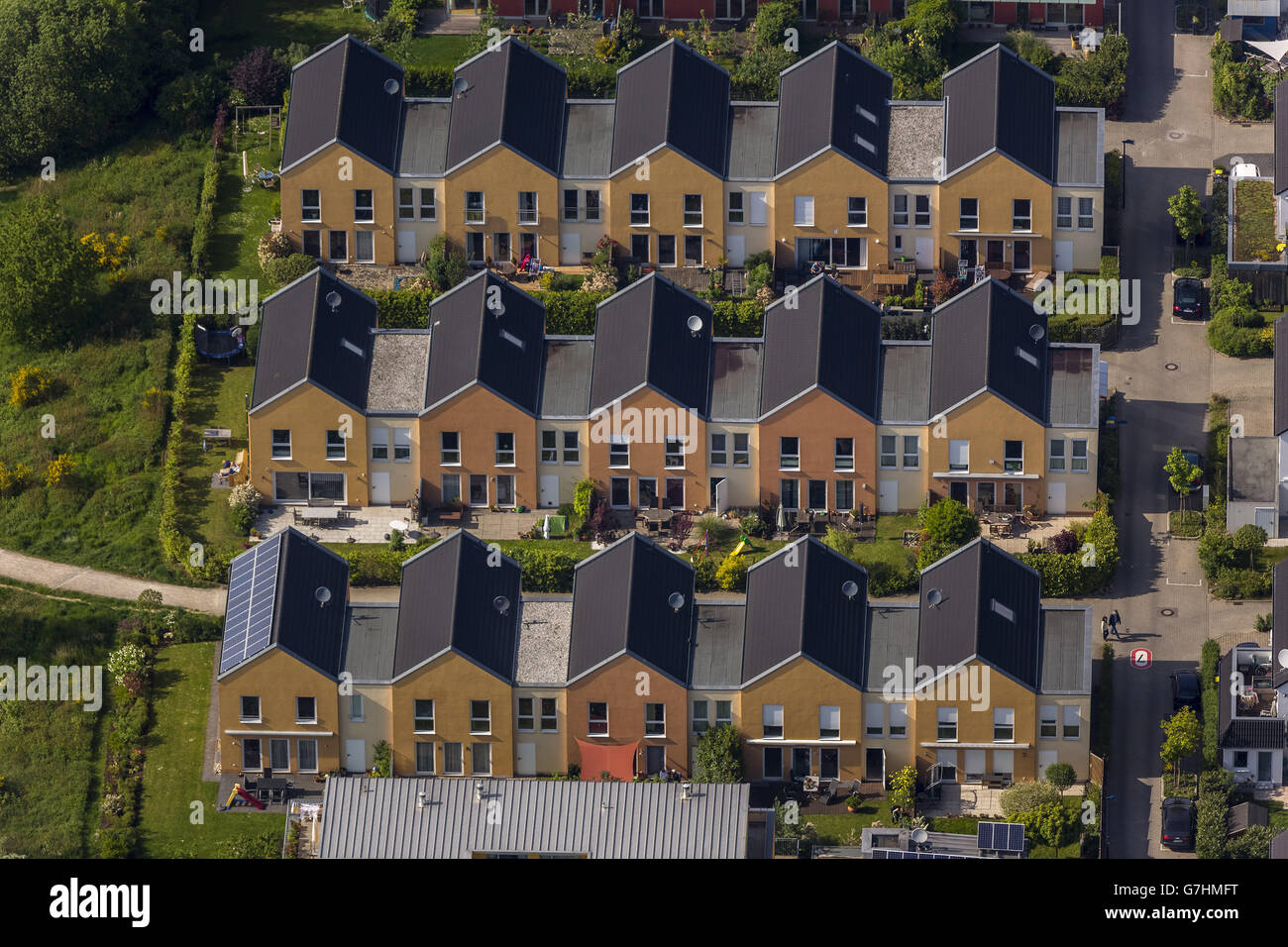 Vista aerea, detached case monofamiliari su Tremoniapark, casa di proprietà, Dortmund, regione della Ruhr, Renania settentrionale-Vestfalia, Foto Stock