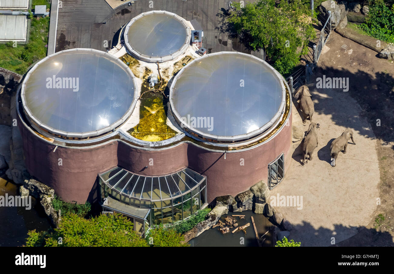 Vista aerea, Zoo di Duisburg, elefante House, Duisburg, la zona della Ruhr, Renania settentrionale-Vestfalia, Germania, Europa, vista aerea, uccelli-occhi Foto Stock