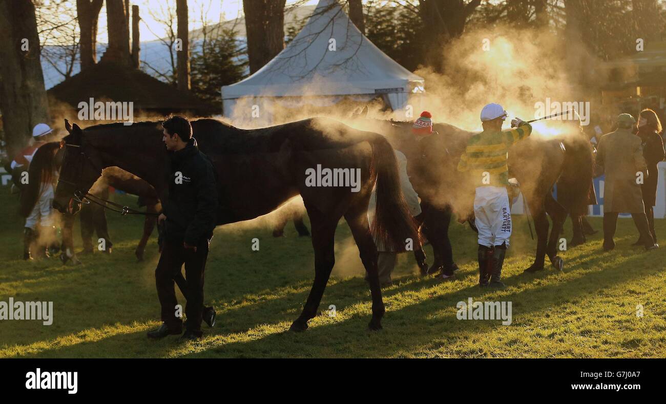 Steam si alza dai cavalli il terzo giorno del 2014 Leopardstown Christmas Festival all'ippodromo di Leopardstown, Dublino. Foto Stock