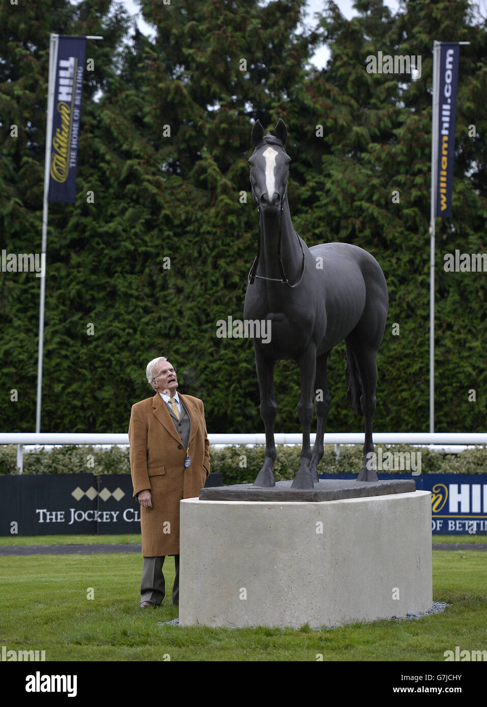 Clive Smith guarda su una statua della corsa leggendaria Horse Kauto Star che si trova nel ring della parata a. Kempton Park Foto Stock
