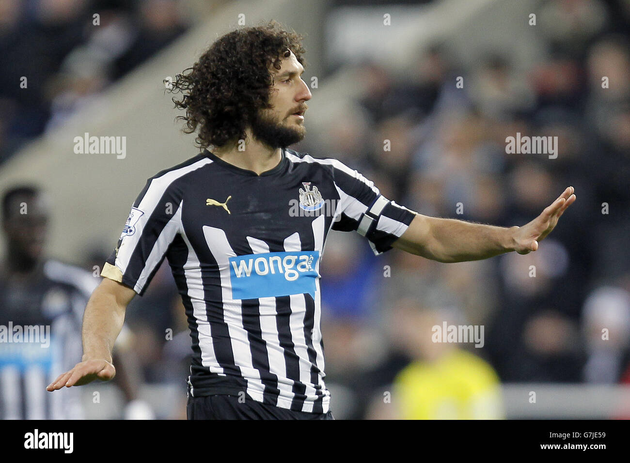 Calcio - Barclays Premier League - Newcastle United v Everton - St James' Park. Fabricio Coloccini di Newcastle United Foto Stock