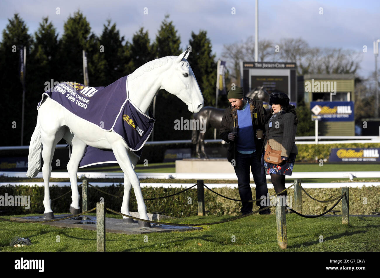 Horse Racing - 2014 William Hill Festival invernale - Giorno 2 - Kempton Park Foto Stock