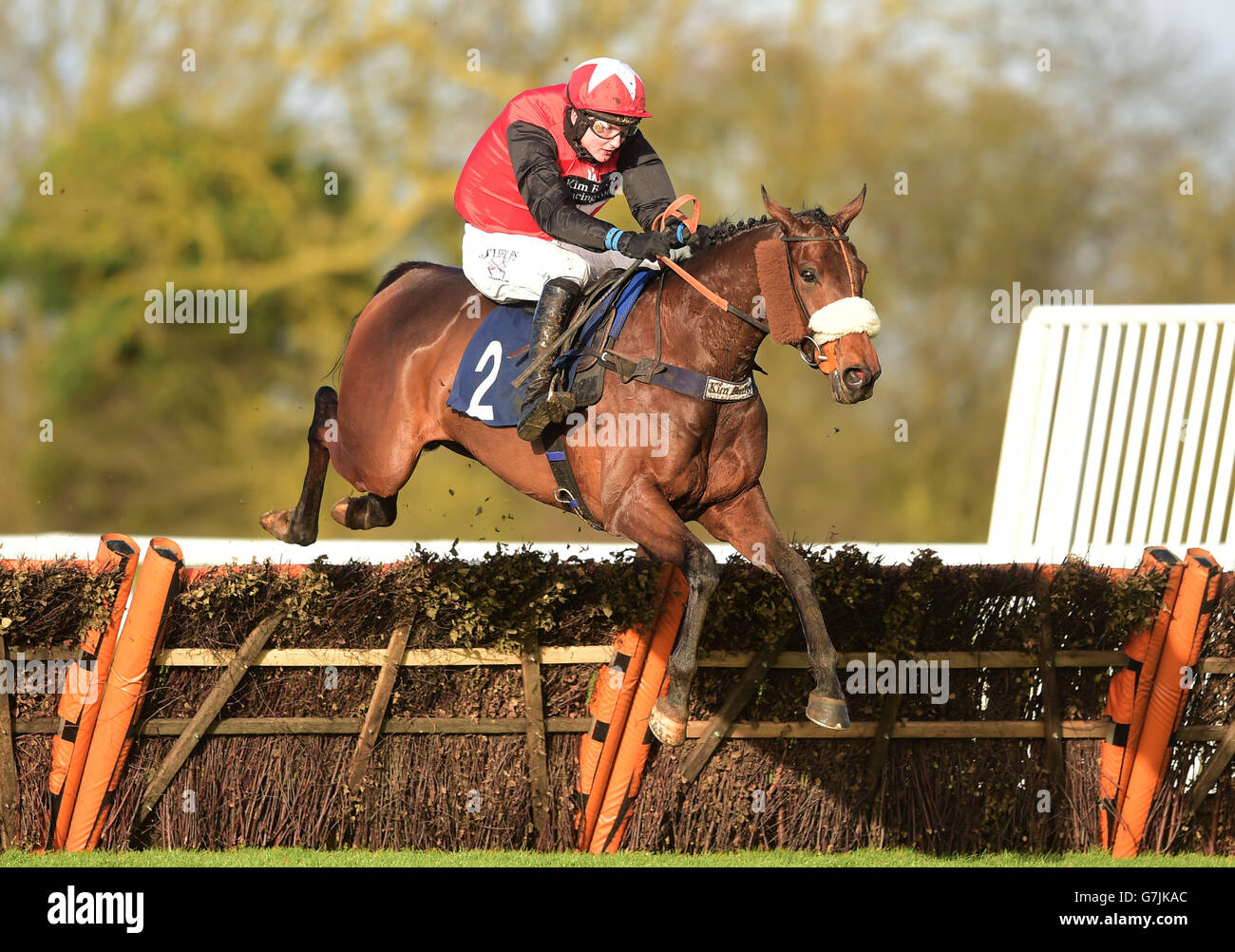 Derrintogher Bliss guidato da Tom Bellamy vince il rosso di Connolly Mulini Conditional Jockey's handicap gara di ostacoli Foto Stock