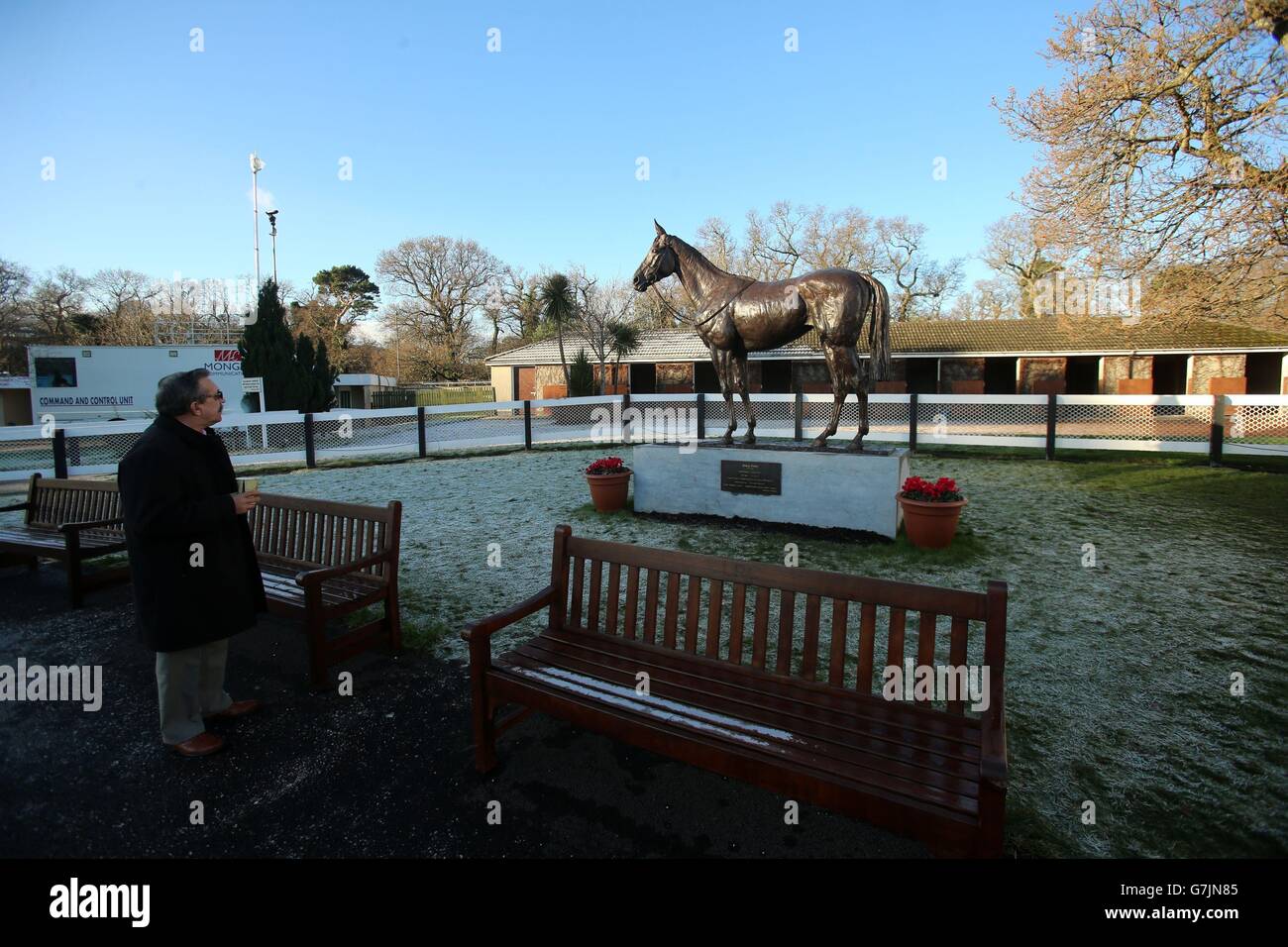 Un pugnatore guarda una statua della fata della neve mentre il gelo causa il rinvio della prima gara il quarto giorno del 2014 Leopardstown Christmas Festival all'ippodromo di Leopardstown, Dublino, Irlanda. Foto Stock