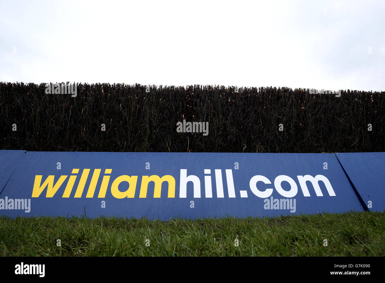 Horse Racing - William Hill Lanzarote Hurdle giorno - Kempton Park Racecourse Foto Stock