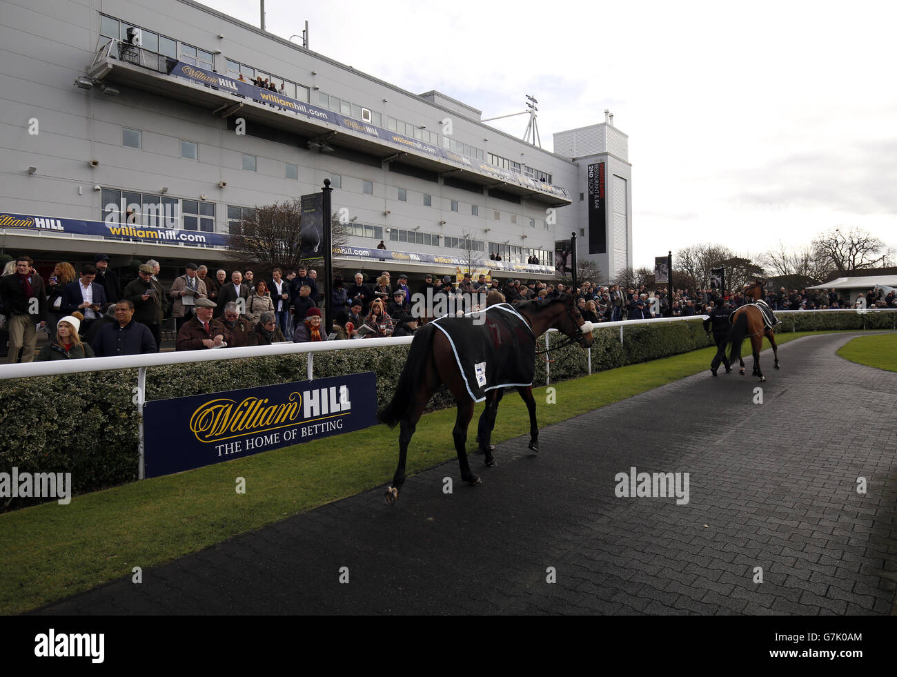 Corse di cavalli - William Hill Lanzarote Huddle Day - Ippodromo di Kempton Park. Il marchio William Hill nell'anello della sfilata all'ippodromo di Kempton Park Foto Stock