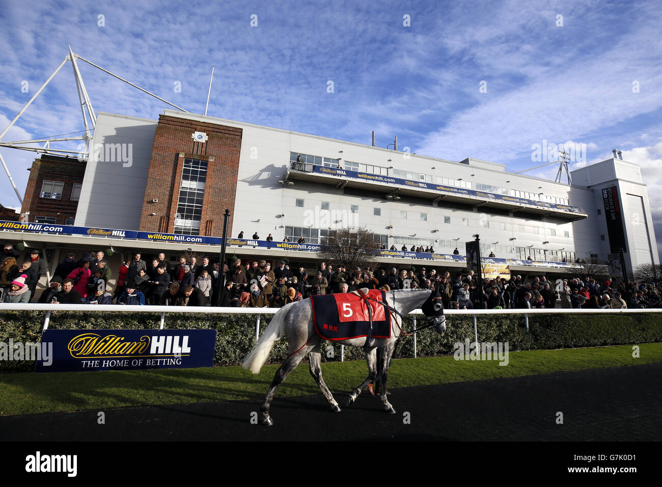 Horse Racing - William Hill Lanzarote Hurdle giorno - Kempton Park Racecourse Foto Stock