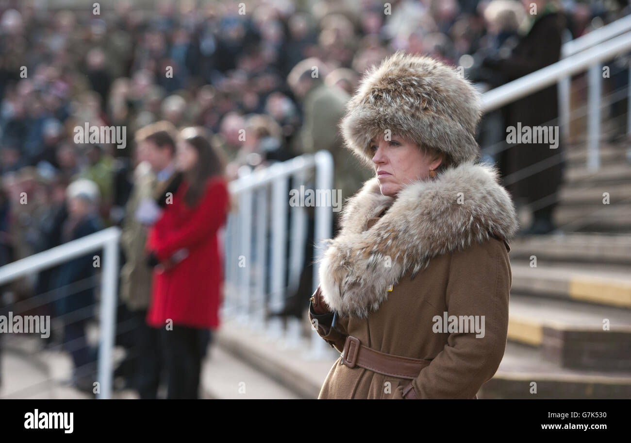 Corse di cavalli - Festival Trials Day - Cheltenham Racecourse. I fan si divertiranno con le gare durante il Festival Trials Day all'ippodromo di Cheltenham Foto Stock