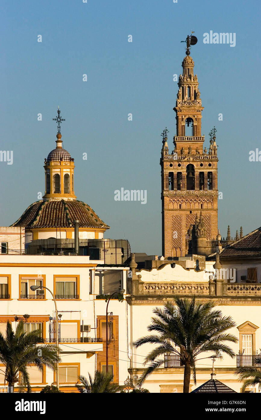 Il quartiere la Maestranza e la Giralda. Siviglia. Andalucía. Spagna. Foto Stock