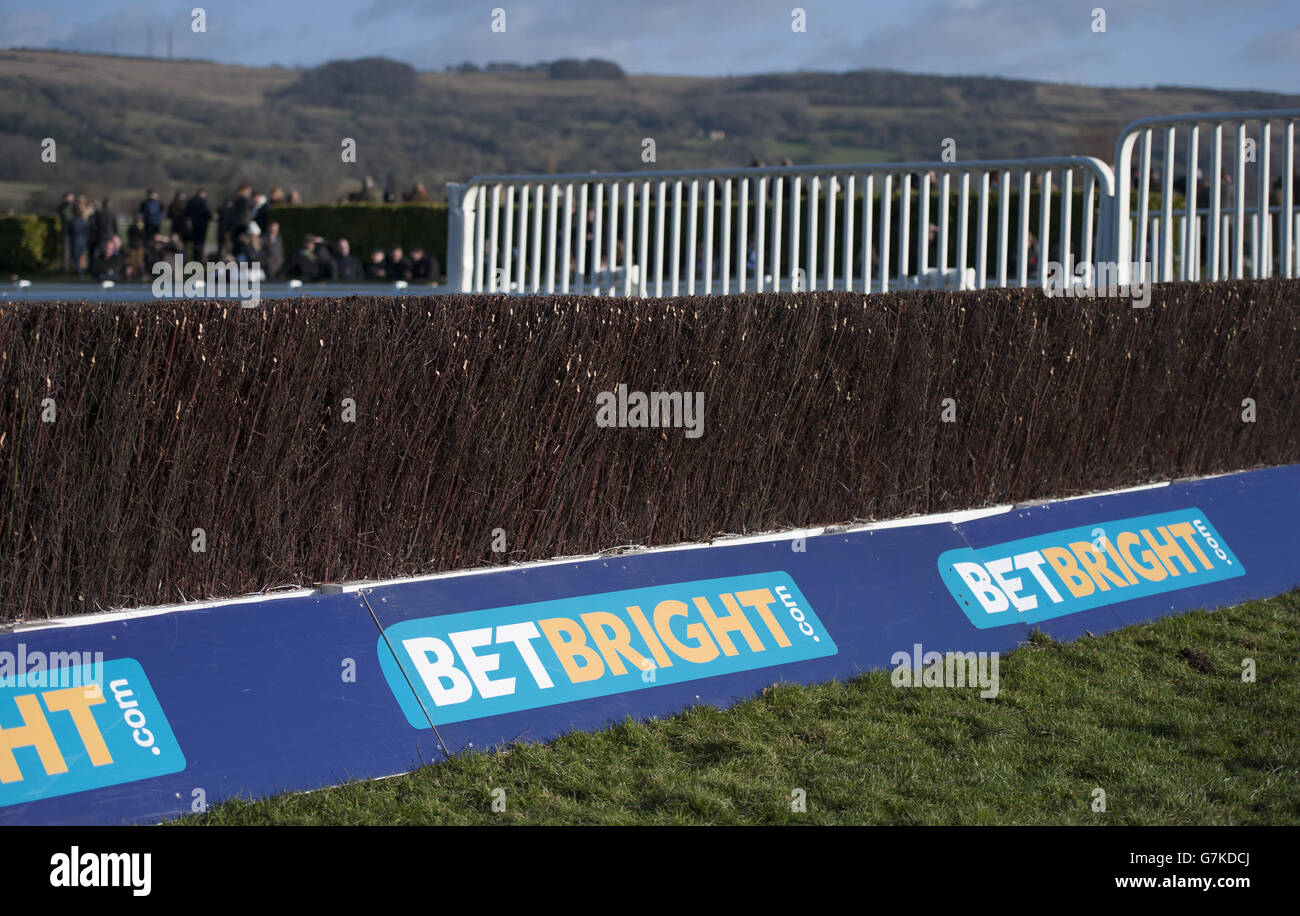 Corse ippiche - Festival Trials Day - Ippodromo di Cheltenham. Branding BetBright sul corso Foto Stock