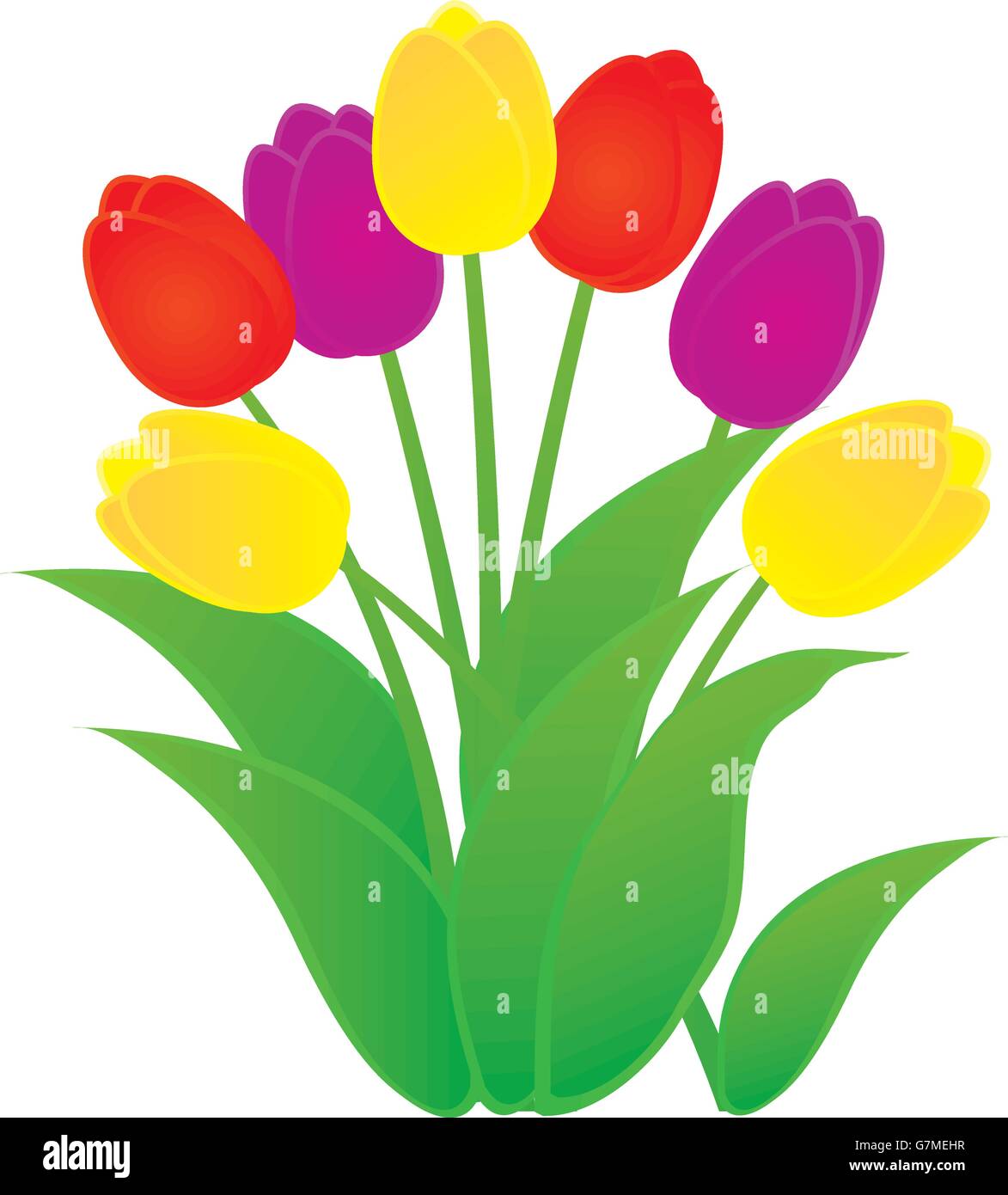 Illustrazione vettoriale di tulip bouquet di fiori Illustrazione Vettoriale