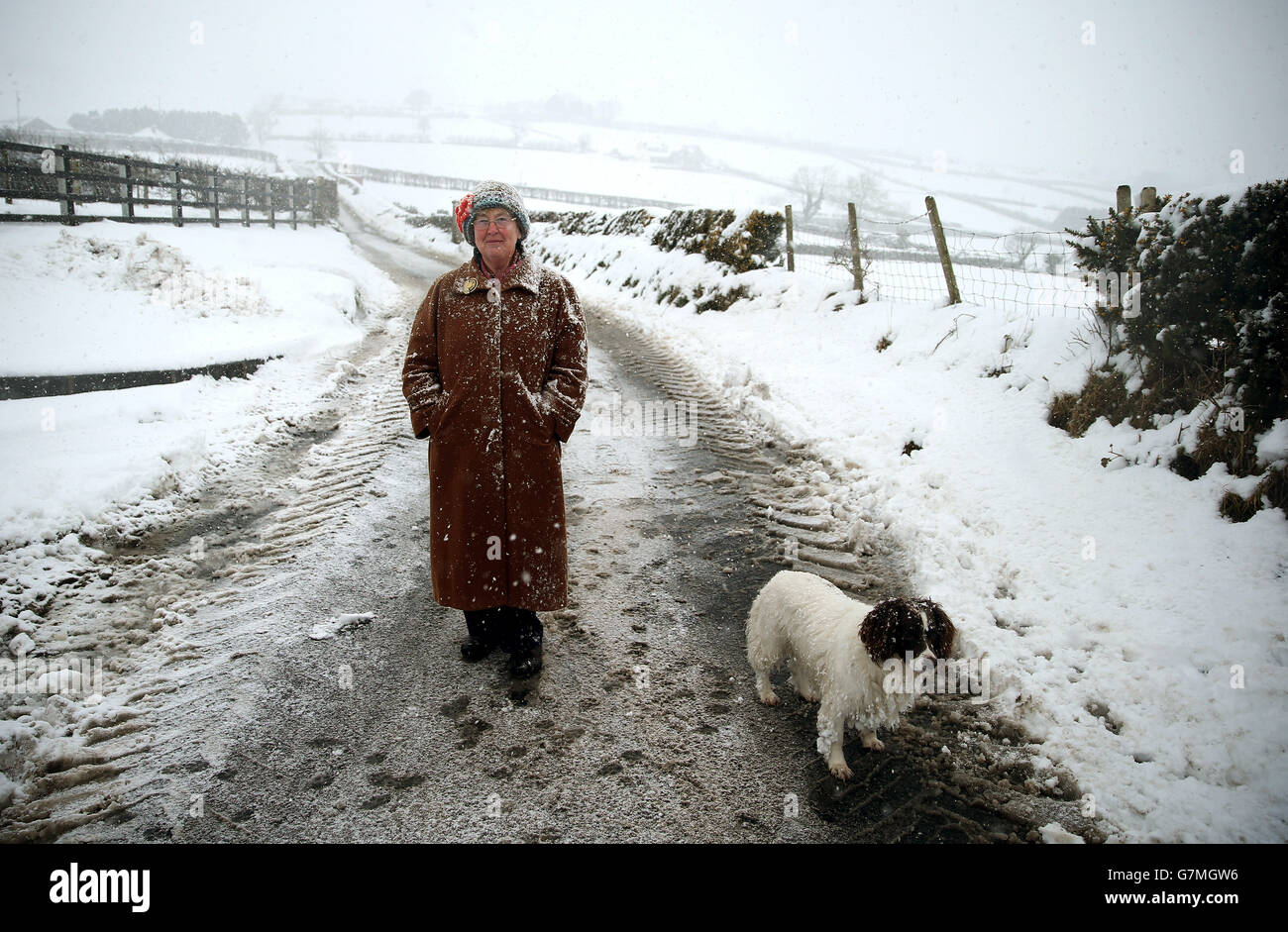 Jean Anne Marner e il suo cane Judy fuori per una passeggiata sulla strada gialla, collina, Co giù, come scuole, trasporto e segnali di telefonia mobile sono stati interrompiti dopo la neve pesante ha colpito parti del paese. Foto Stock