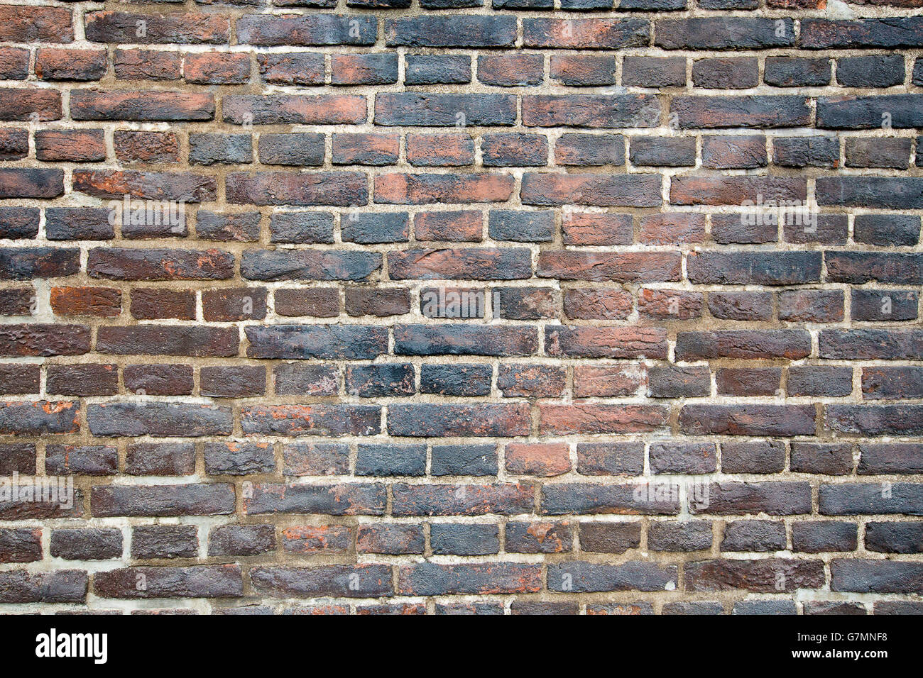 In prossimità della parete di mattoni dello sfondo. Foto Stock