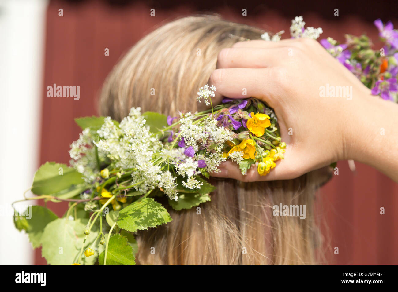 La Festa di mezza estate svedese tradizionale copricapo su una testa femminile di capelli. Foto Stock