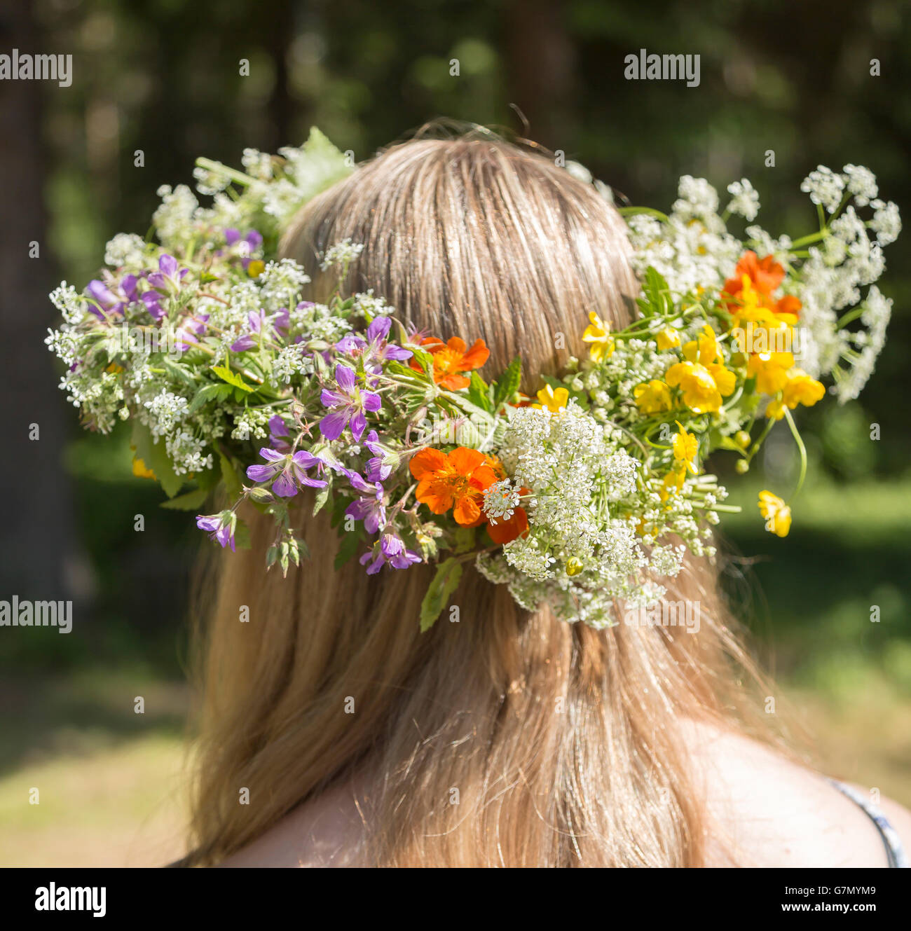 La Festa di mezza estate svedese tradizionale copricapo su una testa femminile di capelli. Foto Stock