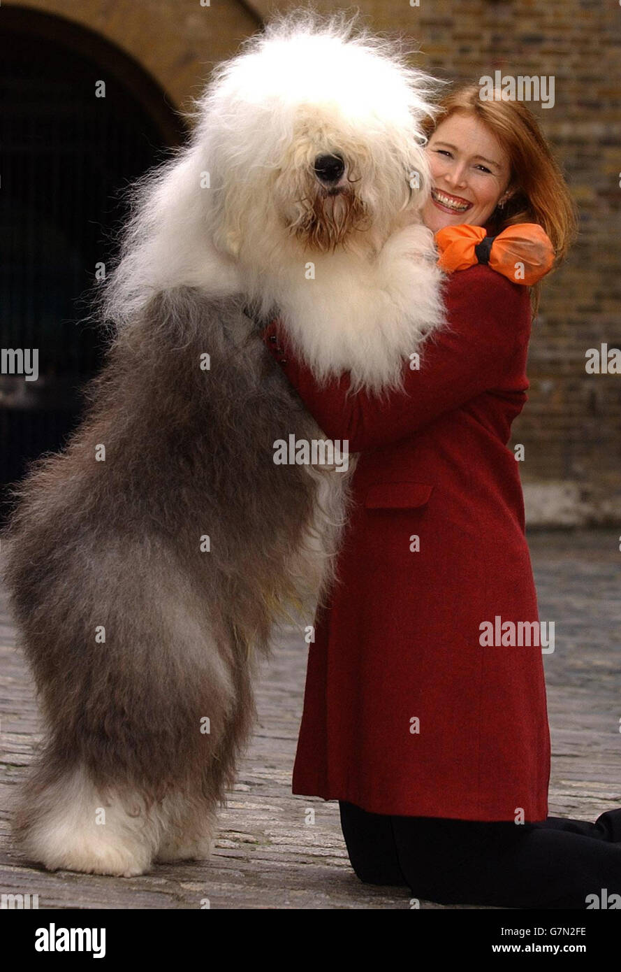Shauna Lowry, presentatore televisivo con Jonny un vecchio cane da pastore inglese del Wiltshire, indossando stivali arancioni per mantenere i piedi puliti. Foto Stock